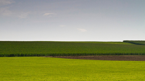 Greenfield