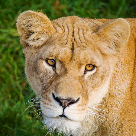 0910 Normandy_Zoo (271)